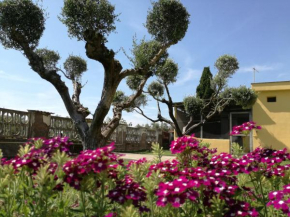  B&B Casa degli Ulivi  Неттуно